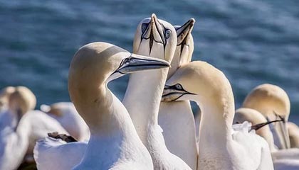 开云体育登陆入口-电竞行业的知识产权保护，打击盗版持续升级，电竞侵权