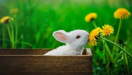 开云体育登陆入口-电竞行业的知识产权保护，打击盗版持续升级，电竞侵权