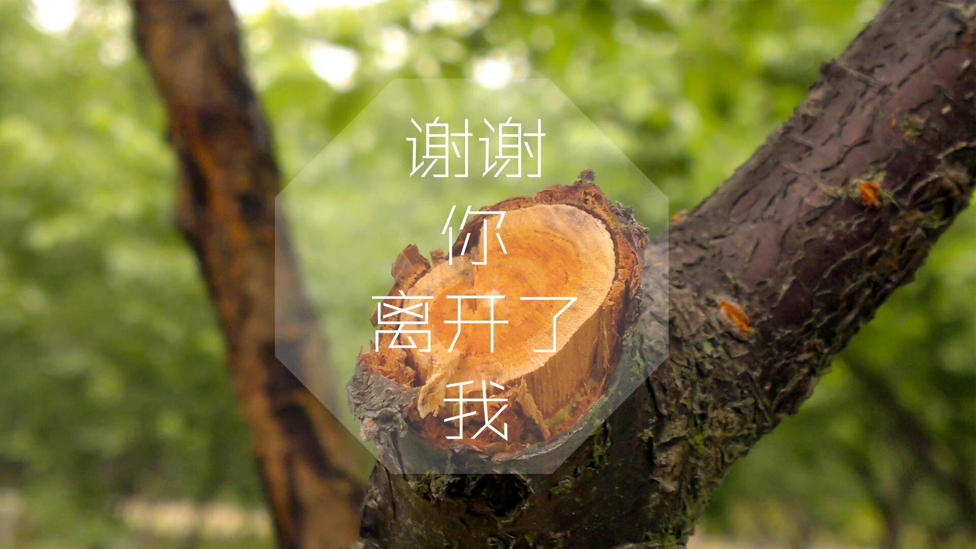 女足世界杯历史突破时刻，女足世界杯历史突破时刻表