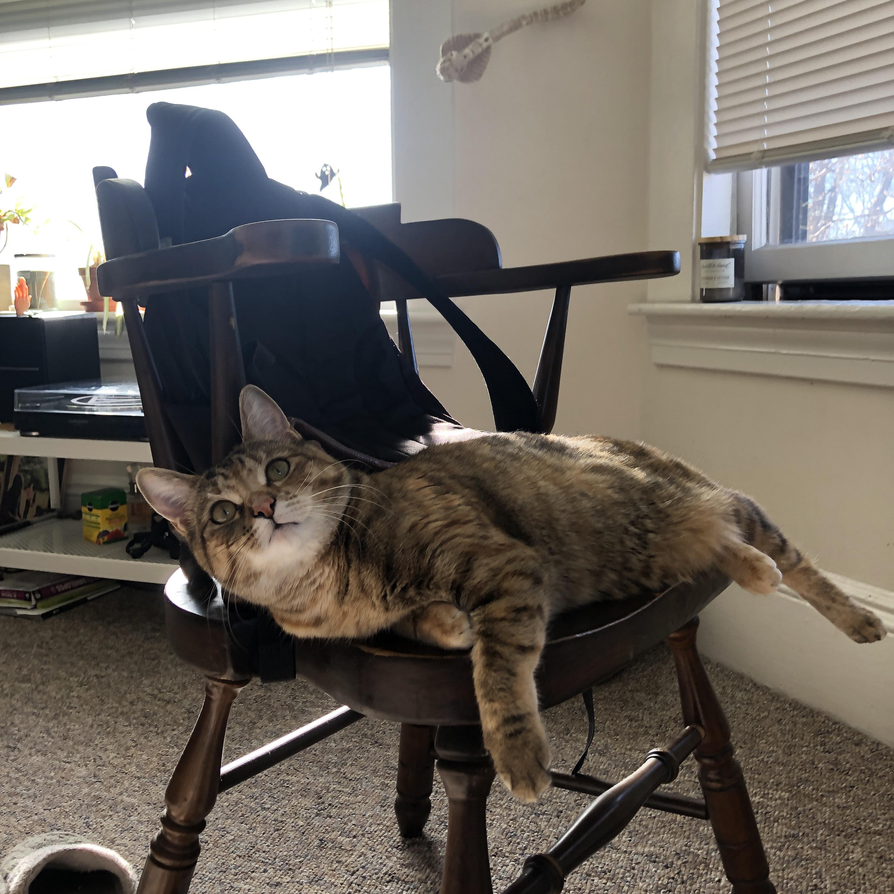 女篮新秀培养注重场上决策能力强化执行质量，女篮球队训练计划