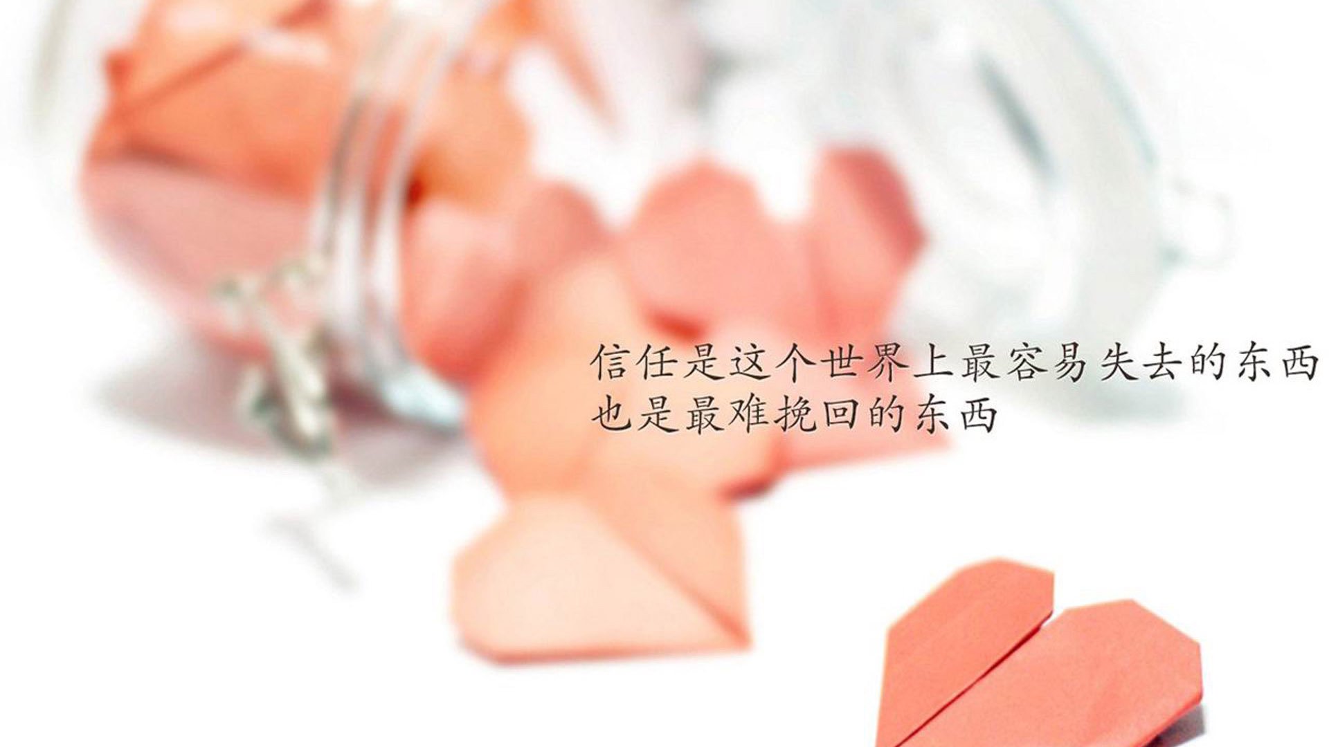 开云官网在线-青训体系建设稳步推进未来储备力量逐渐增强，青训项目