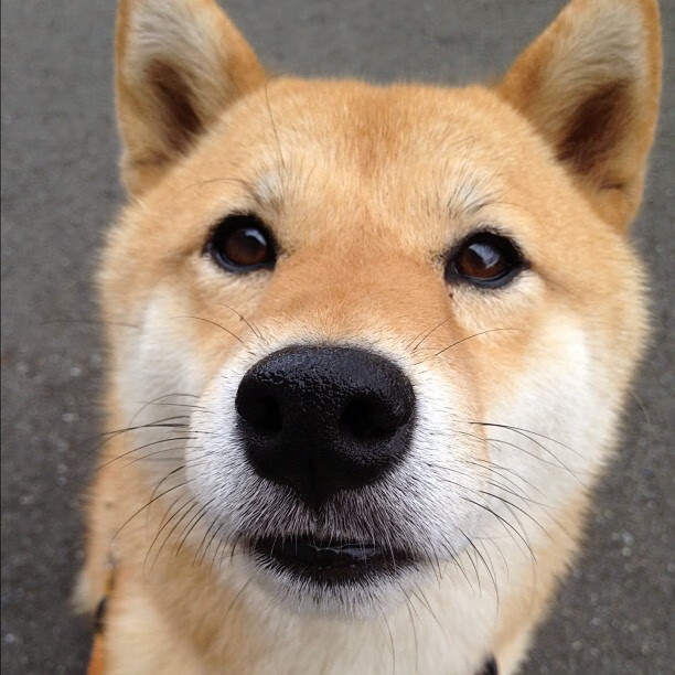 开云·体育官网APP下载-苏炳添将参与研发新型短跑训练系统，苏炳添将成立短跑实验室