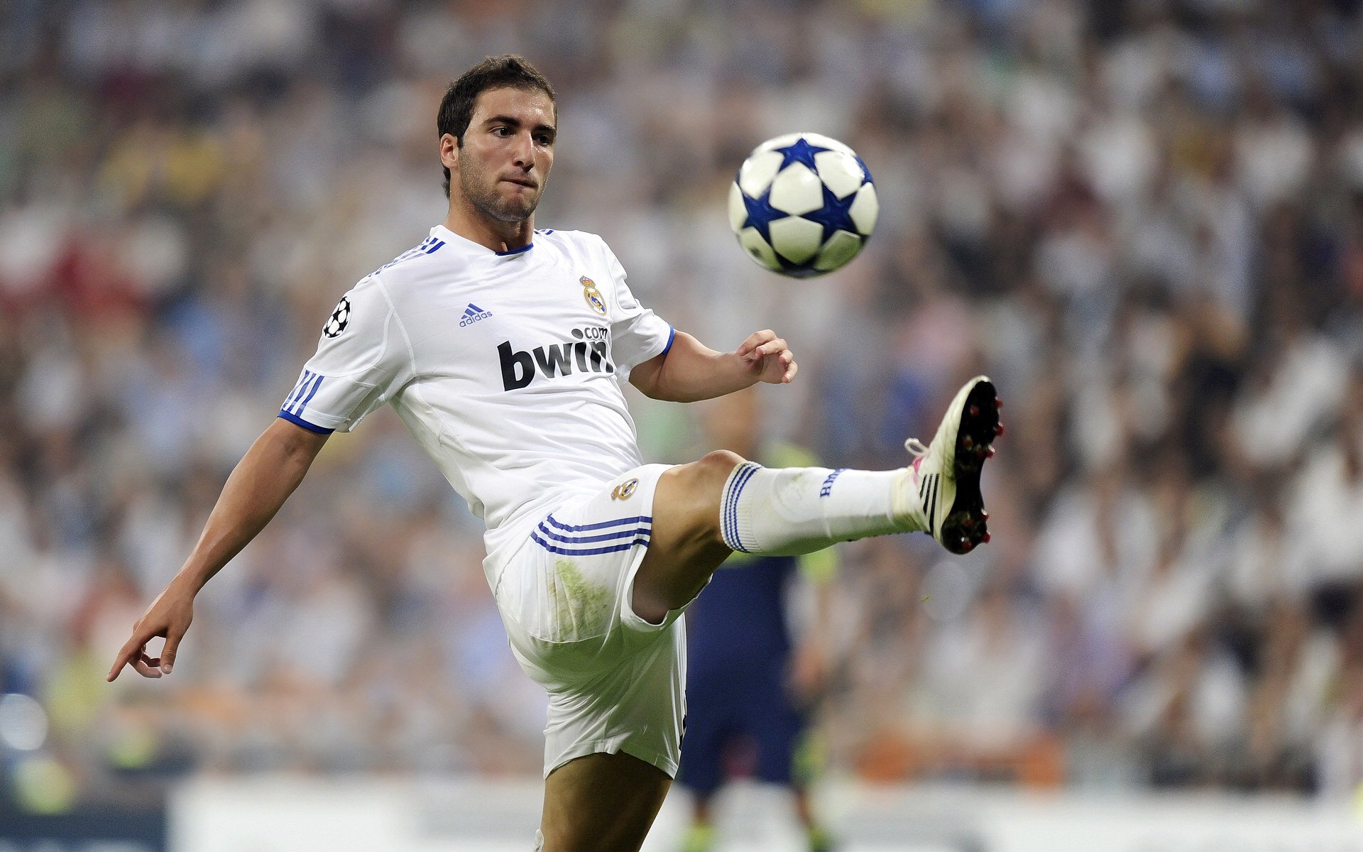 开云体育中国官方网站-德甲引入先进训练设施，青训体系升级，德甲青训最好俱乐部